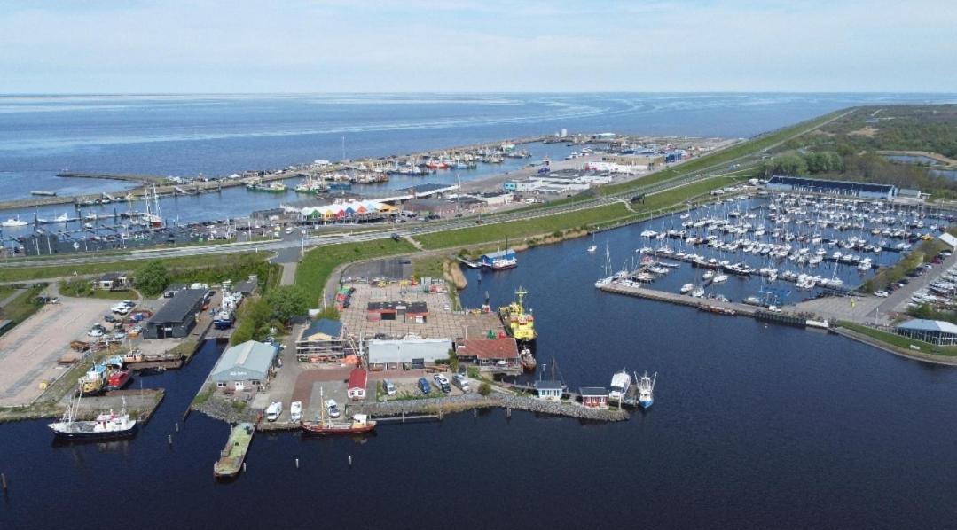 Waterhuisjes Op De Pier Van Lauwersmeerplezier! Lauwersoog Eksteriør billede
